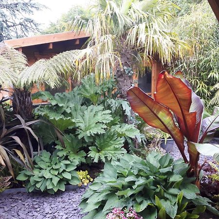 Cabin Set In A Beautiful Romantic Tropical Garden Sutton Coldfield Exterior foto