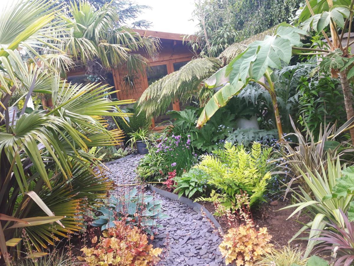 Cabin Set In A Beautiful Romantic Tropical Garden Sutton Coldfield Exterior foto